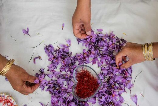 خرید حمایتی 7 تن زعفران در خراسان رضوی