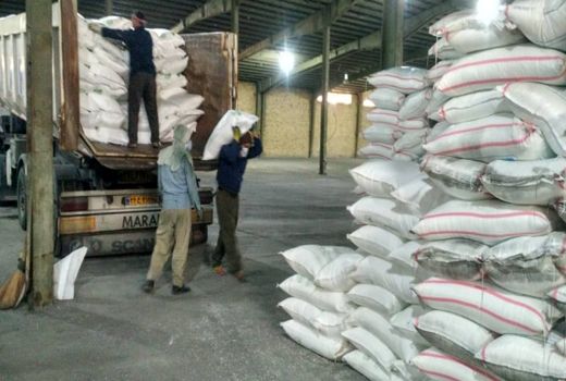 افزایش 40 درصدی توزیع کودهای شیمیایی در کوار