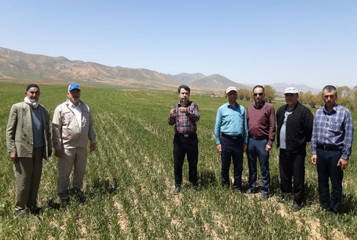 تحویل ۴ دستگاه ادوات و ماشین آلات کشاورزی به بهره‌برداران استان قزوین