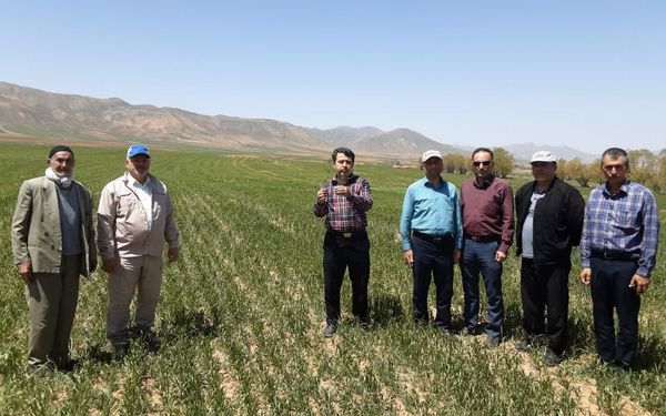 تحویل ۴ دستگاه ادوات و ماشین آلات کشاورزی به بهره‌برداران استان قزوین