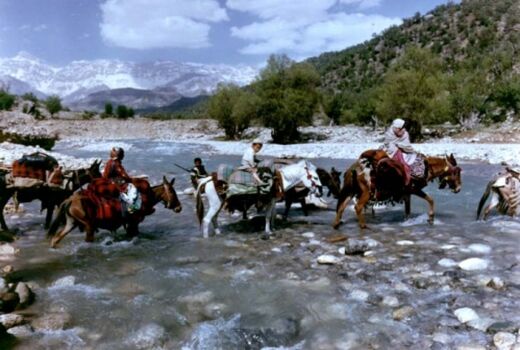 رشد اشتغال عشایری با مهار آب مرزی  