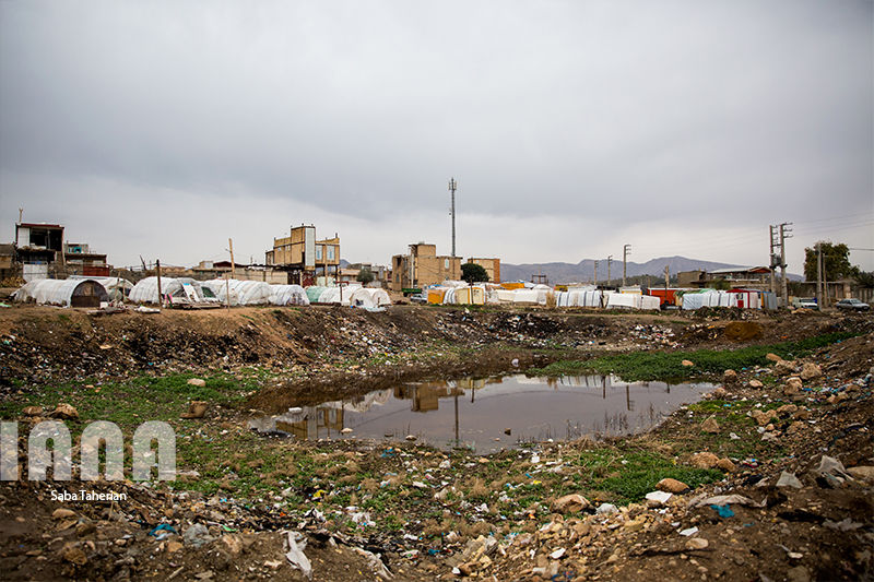 نوروز سر پل ذهاب