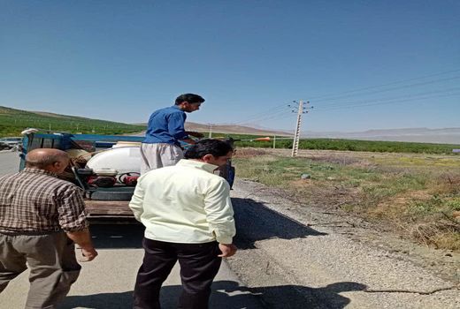 عملیات سمپاشی علیه ملخ شکم بادمجانی در شهرستان سامان