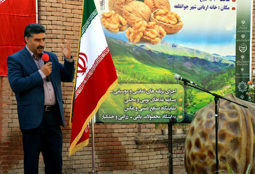 سرشاخه کاری فیزیکی درختان گردو یکی از راههای موثر در صرفه جویی آب است
