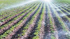 تجهیز ۳۸ هزار هکتار اراضی کشاورزی خراسان شمالی به سامانه آبیاری نوین 