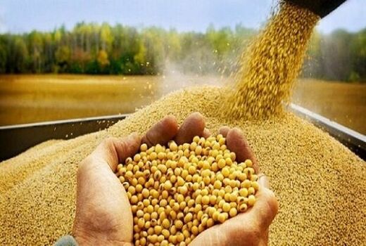 نظارت بهداشتی بر بیش از ۳۴ هزار تن نهاده دامی در بوشهر