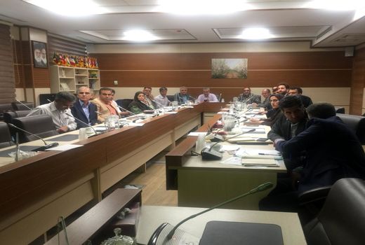 پیاز زعفران ارگانیک تولید می‌شود
