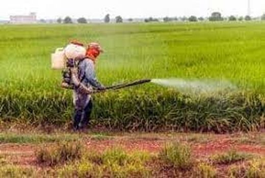 توزیع بیش از یک هزار لیتر سم برای دفع آفات در خوزستان