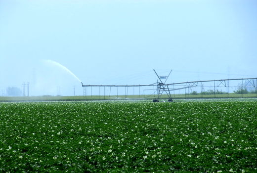 توسعه کشاورزی با تسهیلات 2 هزار میلیاردی