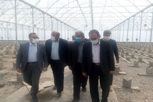 تحقق شعار سال با توسعه سرمایه گذاری در بخش کشاورزی امکانپذیر است