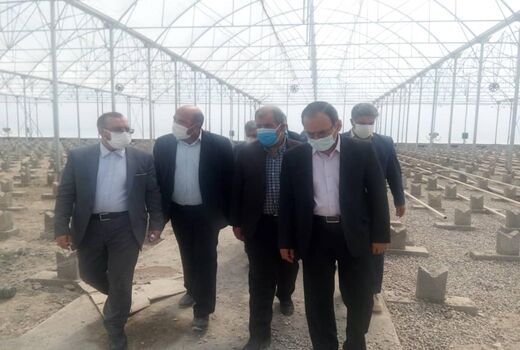 تحقق شعار سال با توسعه سرمایه گذاری در بخش کشاورزی امکانپذیر است