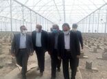 تحقق شعار سال با توسعه سرمایه گذاری در بخش کشاورزی امکانپذیر است