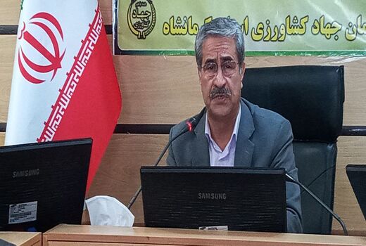 با توجه به کثرت بهره برداران در کرمانشاه نیازمند توسعه رسانه های آموزشی هستیم