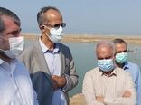 لزوم ایجاد باراندازهای کشاورزی و تضمین خرید محصولات کشاورزی