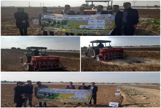 اجرای طرح تحقیقی – ترویجی مقایسه ارقام گندم در اندیمشک