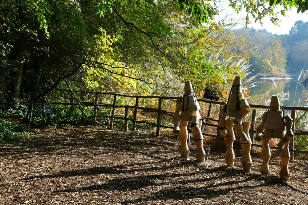 بازدید تور رسانه ای از باغ ملی گیاه شناسی ایران                   