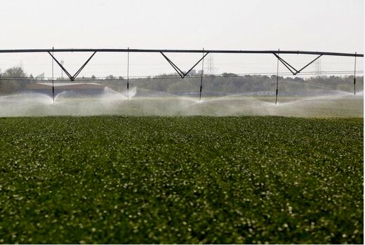 بیش از ۳ هزار هکتار اراضی مانه و سملقان زیر پوشش آبیاری بارانی قرار گرفت