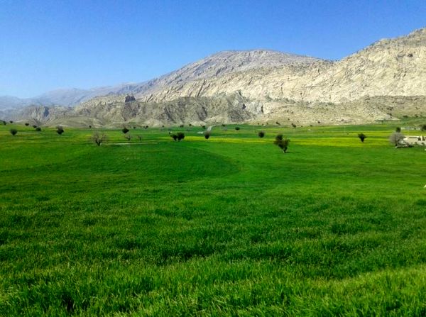 پیشرفت ۵۵ درصدی پروژه ایستگاه پمپاژ دشت بن در کهگیلویه و بویراحمد/ آبیاری ۵۰۰ هکتار از اراضی کشاورزی