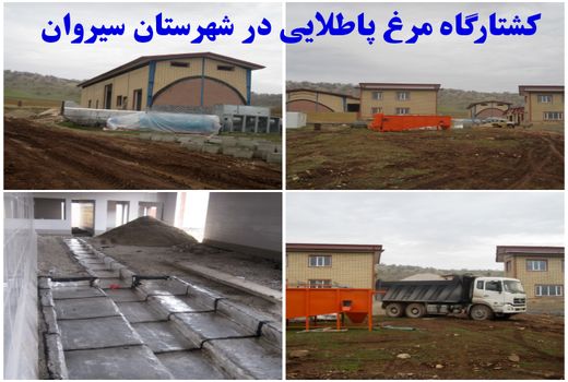 پیشرفت فیزیکی 80 درصد کشتارگاه مرغ سیروان