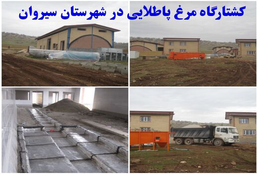 پیشرفت فیزیکی 80 درصد کشتارگاه مرغ سیروان