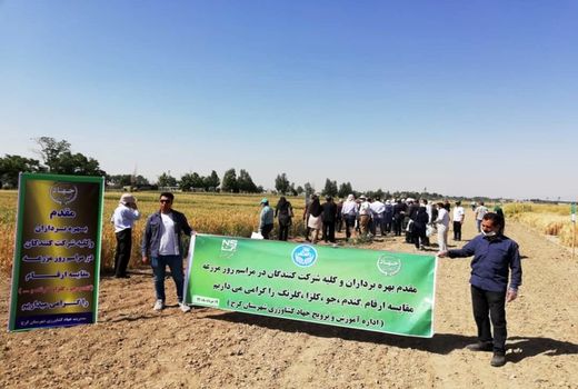 مدیر جهاد کشاورزی شهرستان کرج 