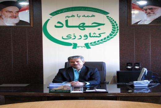 برداشت لیموی پرشین لایم در شهرستان جهرم