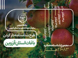 اینفوگرافی | طرح  شناسنامه دار کردن باغات استان قزوین