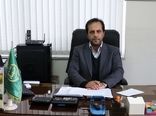 کشت پاییزه غلات دانه ریز در اراضی کشاورزی 