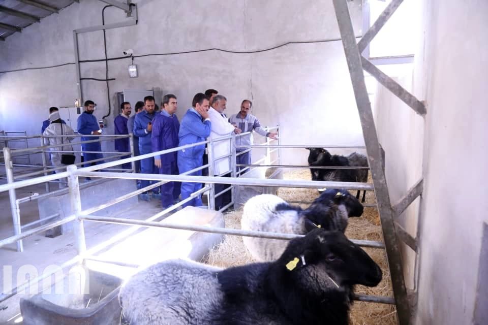 افتتاح مرکز تولید مواد ژنی دام سبک توسط دکتر جهانگیری در فیروزکوه