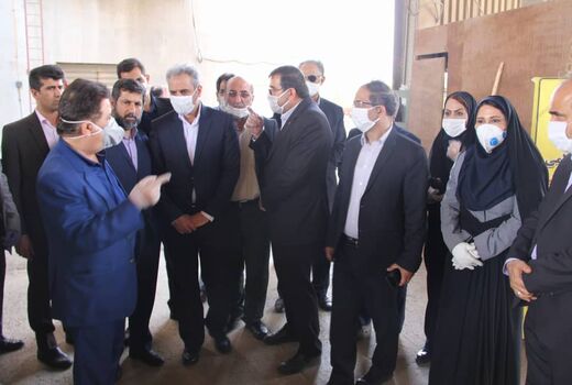 وزیر جهاد کشاورزی از مزارع گندم شهرستان باوی بازدید کرد