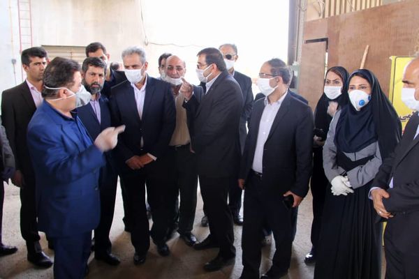 وزیر جهاد کشاورزی از مزارع گندم شهرستان باوی بازدید کرد