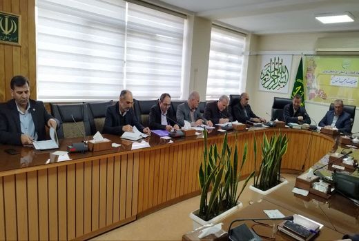 طرح بیمه فراگیر گندم و دانه‌های روغنی در حال تدوین است