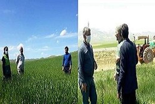 ارائه آموزش‌های تخصصی به بهره برداران بخش کشاورزی