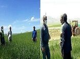 ارائه آموزش‌های تخصصی به بهره برداران بخش کشاورزی