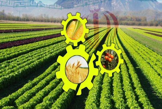 تشکیل جلسه مجازی توجیهی طرح یاوران تولید در استان تهران