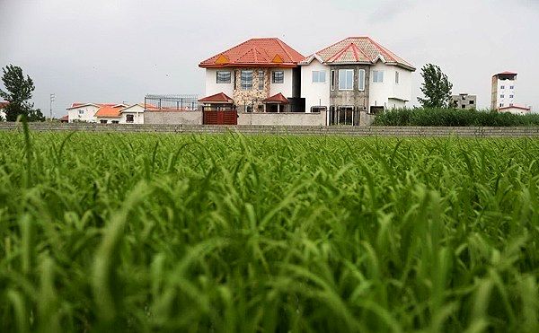 تشکیل یگان حفاظت از اراضی کشاورزی در راستای صیانت از امنیت غذایی 