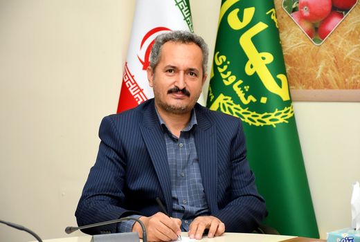 انجام ۹۰۲ مورد بازرسی از نانوایی های شهرستان تبریز توسط هفتاد اکیپ طی یک هفته گذشته