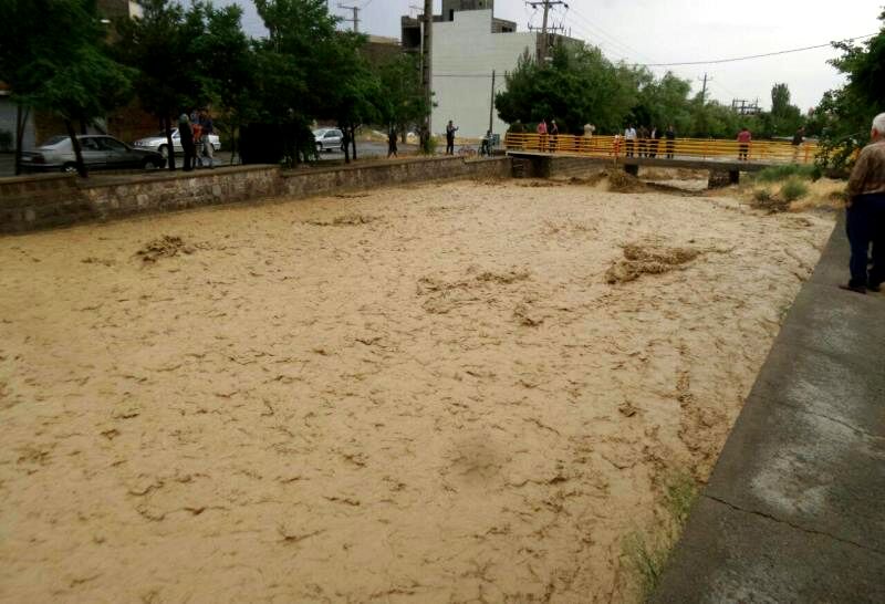 آسیب دیدن شالیزارهای کوهستانی مازندران/ خسارات جزئی به باغ‌های مرکبات