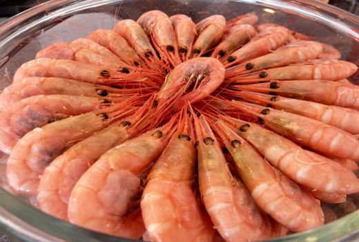 46 هزار تن میگو در کشور تولید شد