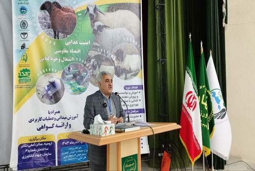 آذربایجان غربی با ۴.۶ میلیون راس دام سبک، ده درصد جمعیت کشوری این بخش را داراست