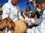 جزئیات کمک‌رسانی دامپزشکی به 3 استان سیل‌زده جنوب کشور