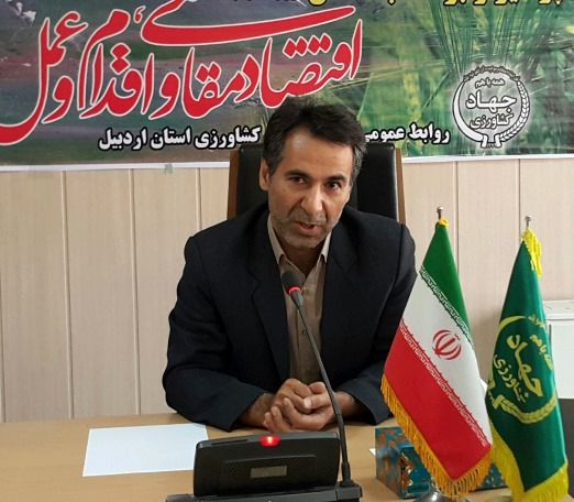 موفقیت تلقیح مصنوعی نخستین نسل گاوهای بومی و دورگ با اسپرم سیمنتال در اردبیل