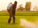 پیگیری جدی حذف آفت‌کش‌های شیمیایی پرخطر در سازمان جهاد کشاورزی استان سمنان