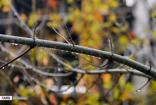 هرمزگان؛ رکورددار خشک‌ترین استان کشور