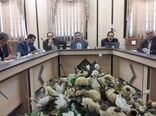 مسائل و مشکلات گلخانه‌های استان یزد بررسی شد