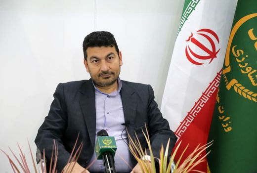 سازمان پنبه در استان گلستان احیا میشود