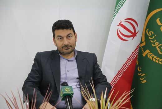 سازمان پنبه در استان گلستان احیا میشود