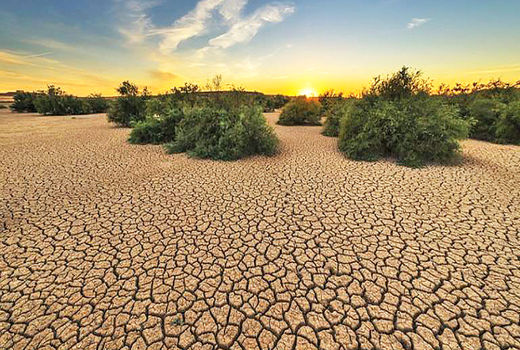 اقدامات ژاپن برای مقابله با خشکسالی افزایش یافته است