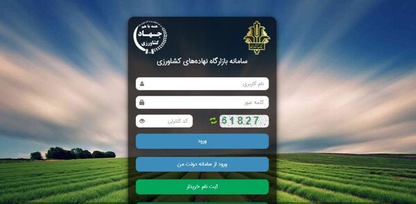 نباید مشکلات فردی به بازارگاه تعمیم داده شود/ توقف نسبی واردات گوشت گرم