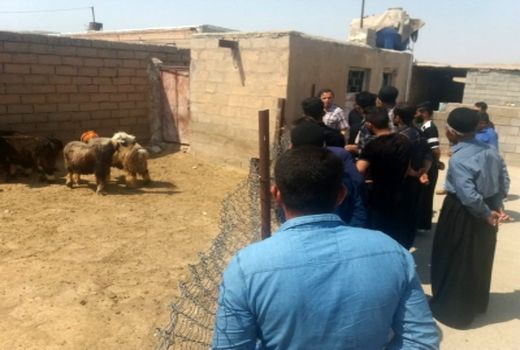 برگزاری دوره آموزشی پرواربندی بره و بزغاله در گتوند